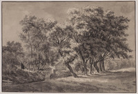 X 080
<br/>
Landschap bij Overveen
<br/>
<em>Milatz, Franciscus Andreas (1764-1808)</em>